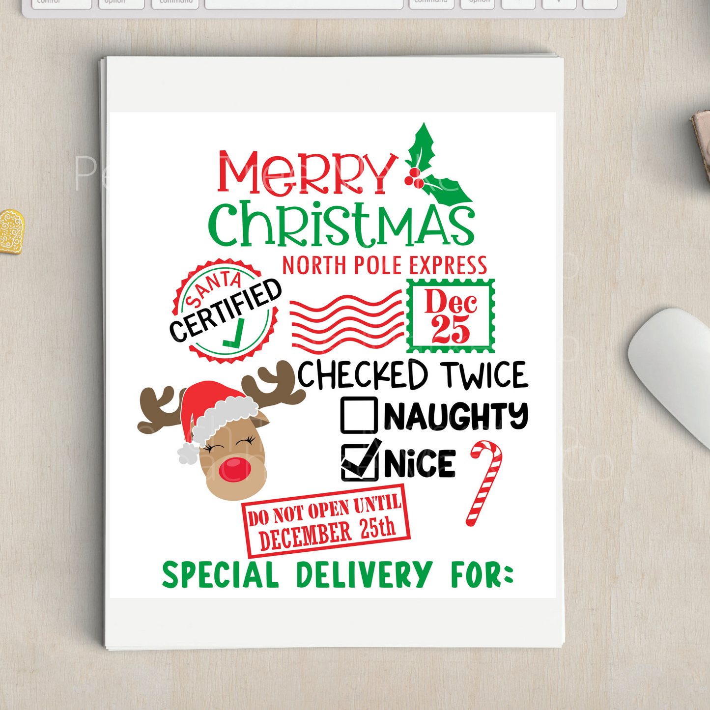 Personalized Santa Sack, Drawstring Santa Delivery Bag, Santa Bag for Kids